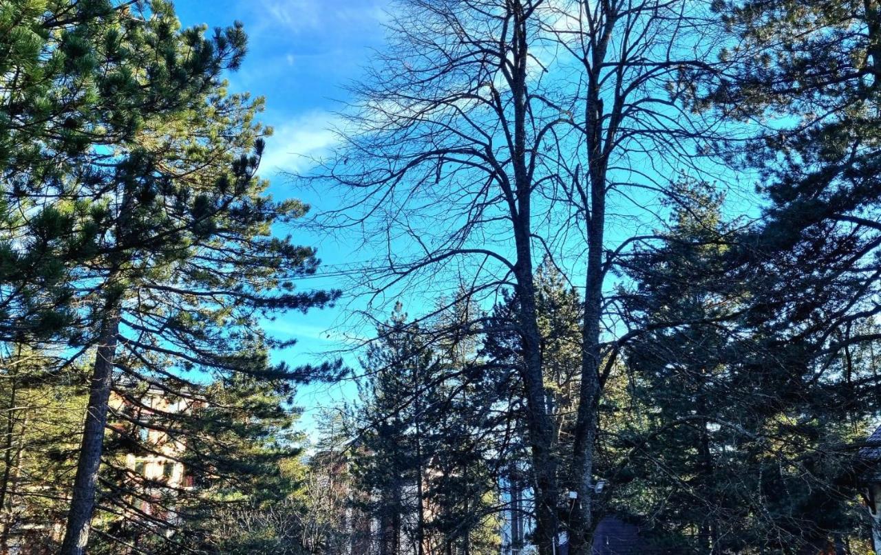 Vila Lucic Zlatibor Bagian luar foto
