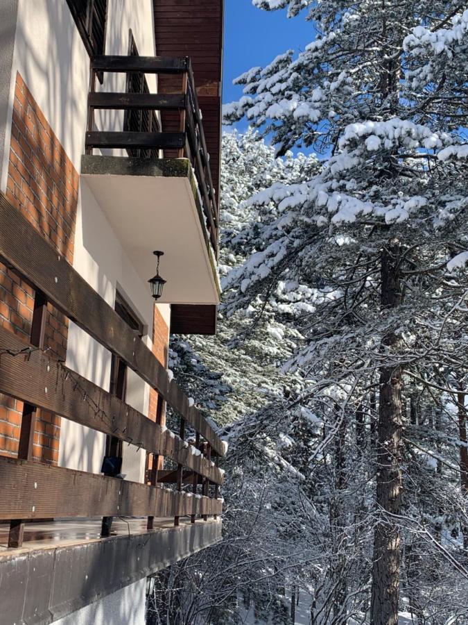 Vila Lucic Zlatibor Bagian luar foto