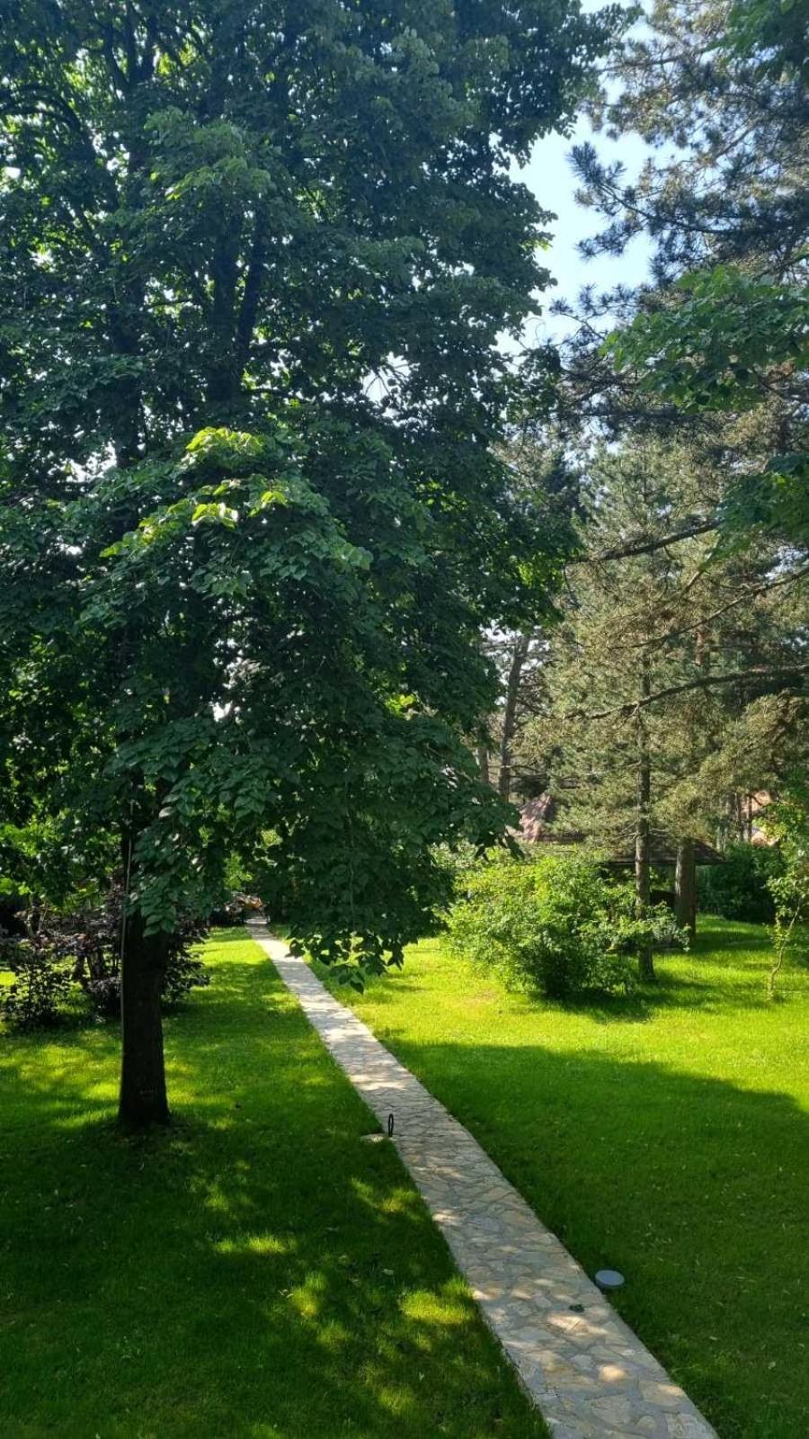 Vila Lucic Zlatibor Bagian luar foto