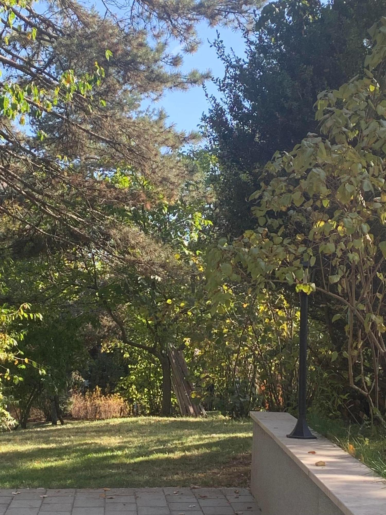 Vila Lucic Zlatibor Bagian luar foto